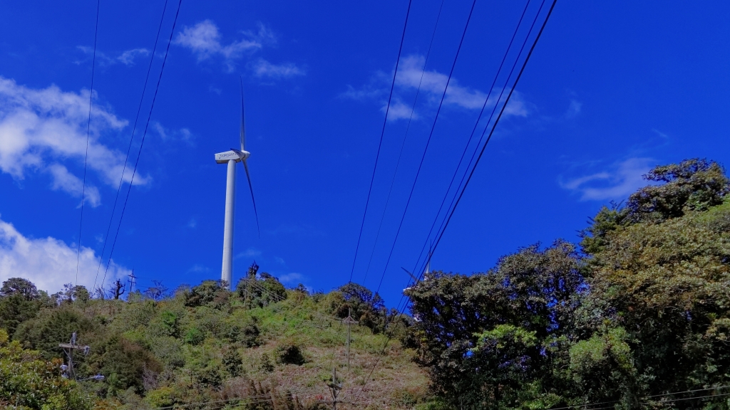 13 - Quetzal NP (18).jpg